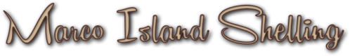 Marco Island Shelling Logo